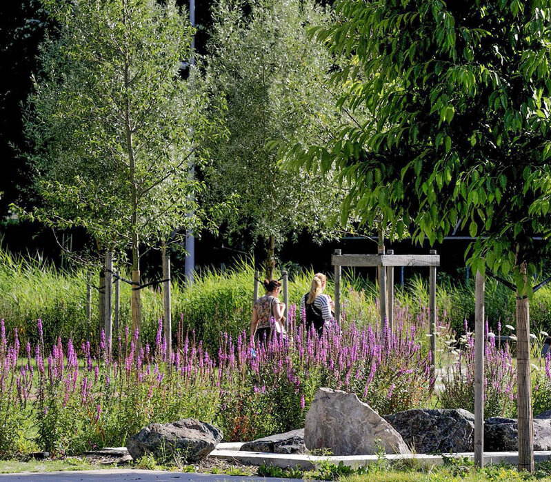 Parc François Mitterrand